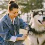 Dog & Puppy Sitting in Mississauga