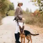 Dog walking in Mississuaga