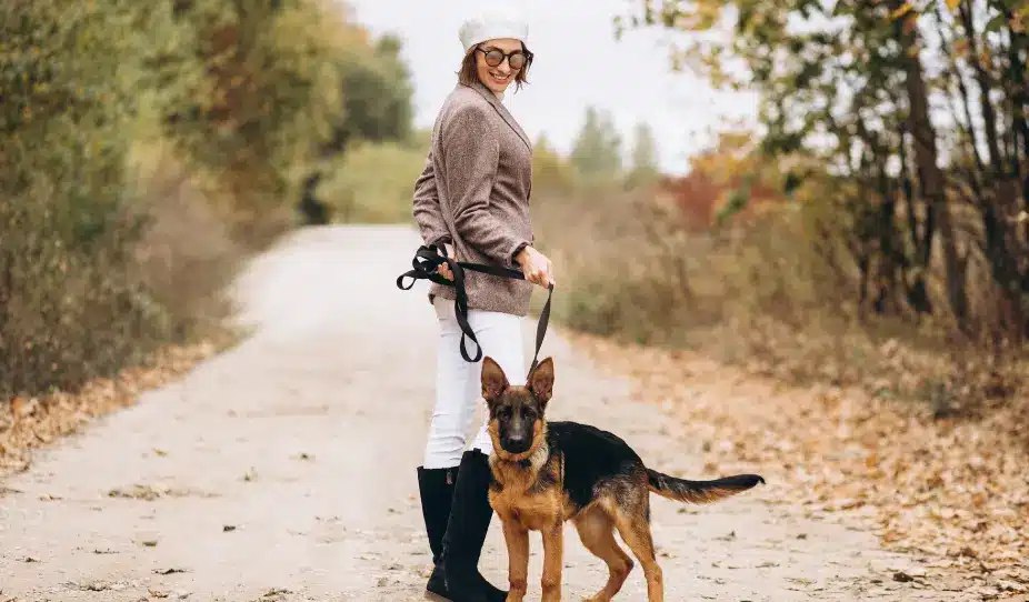 Dog walking in Mississuaga