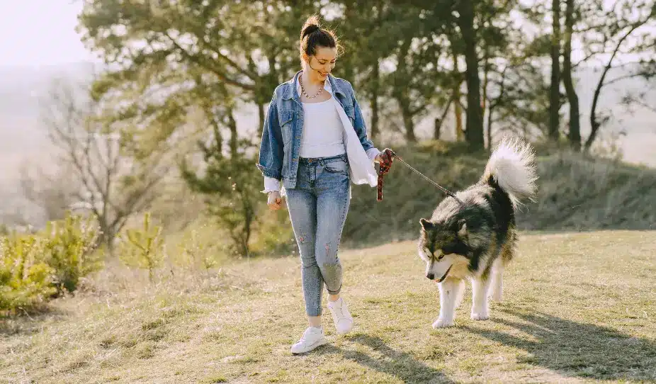 Dog walker in Hamilton