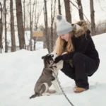 How we keep pets safe ottawa winter