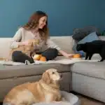 Managing-multiple-pets-ontario-experience