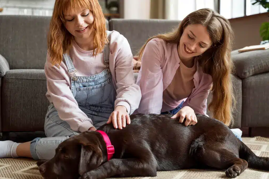 Pet End-of-Life Care