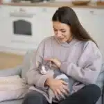 Why Pets Love Routines