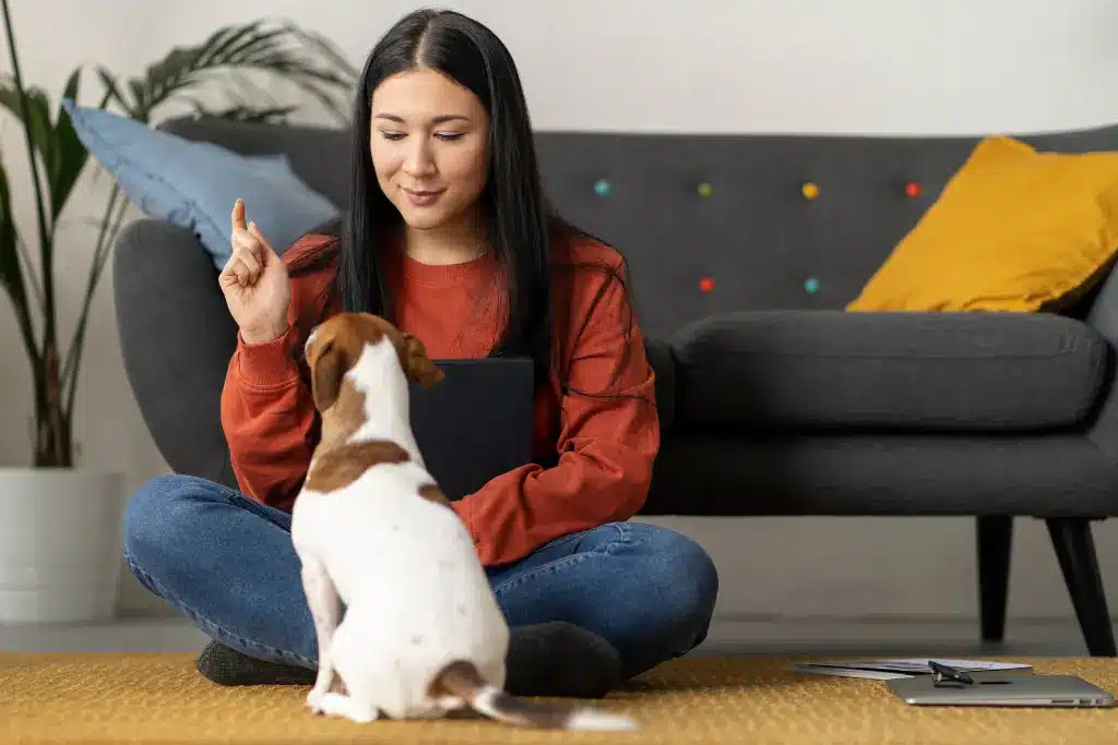 Pet Sitting Costs in Ottawa, Hamilton & Mississauga