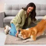 Pet Sitting vs. Dog Daycare