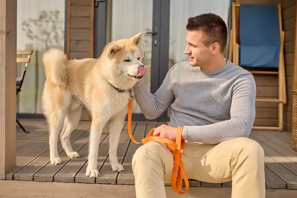 Pet sitter in Ontario