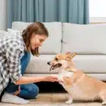 Professional-Pet-Sitting-Costs