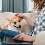 E-Diary Explained