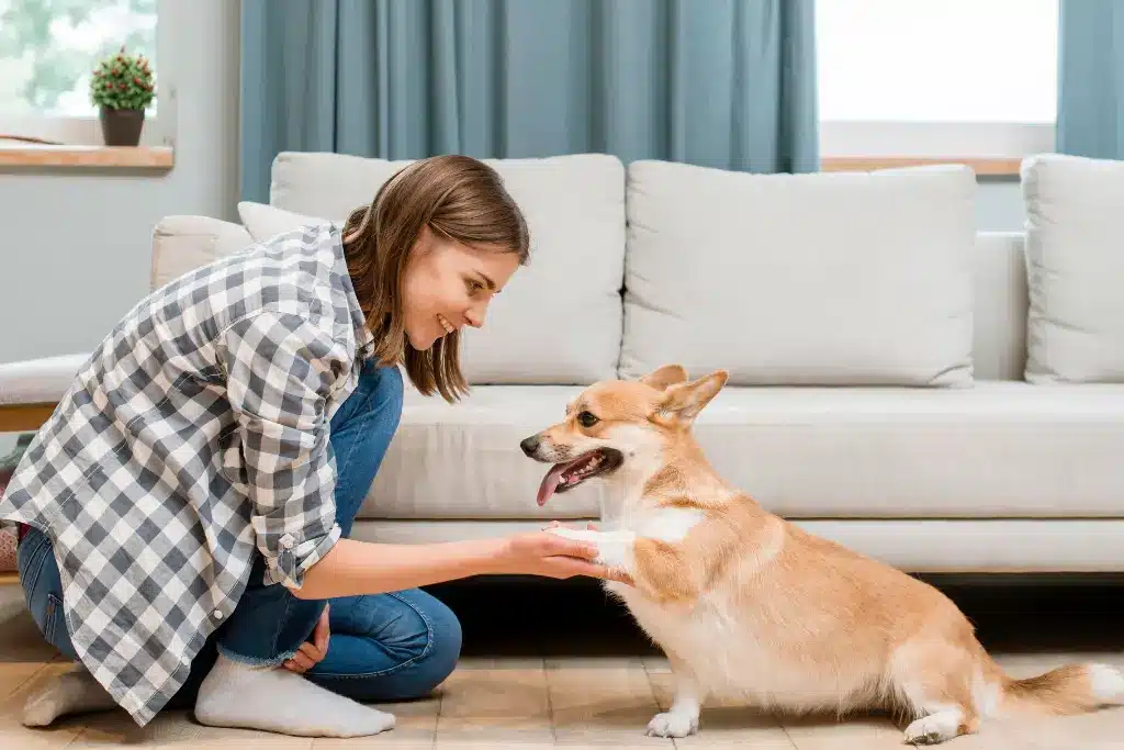 Pet Meet & Greet in Ottawa