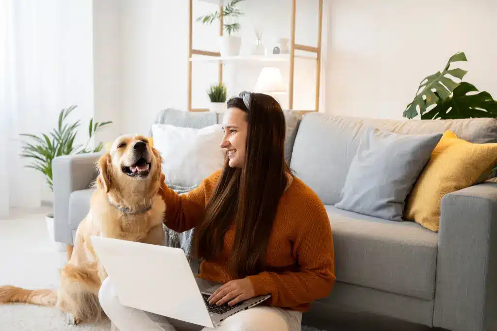 Booking Holiday Pet Care in Ottawa